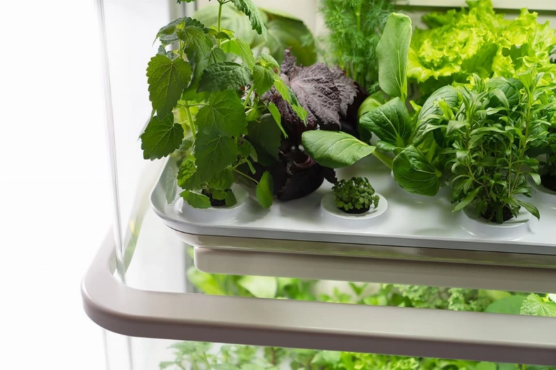 Performance - Pininfarina